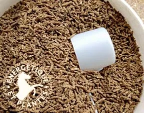 Chondroïtine glucosamine pour chevaux