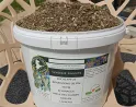 Synergie spéciale sinusite