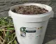 Synergie pour soigner en cas de tendinite et entorse du cheval