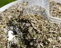 Pack pour soigner vos chevaux atteint de gale de boue ou de teigne