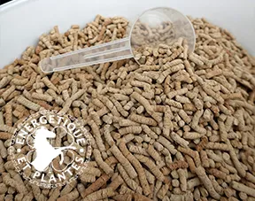 Chondroitine et glucosamine MSM pour chevaux