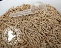 Chondroitine et glucosamine MSM pour chevaux