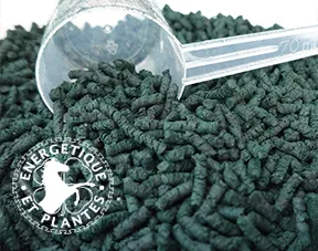 Spiruline pour chevaux, spiruline en vermicelle pour votre cheval