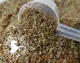 Soigner avec les plantes médicinales les diarrhées de votre cheval