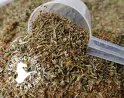 Soigner avec les plantes médicinales les diarrhées de votre cheval