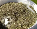 Faites maigrir votre cheval avec nos plantes médicinales spécifiques