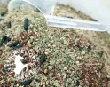 Complément nutritionnel pour chevaux qui apporte énergie et force au cheval.