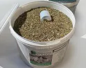 Synergie de plantes médicinales pour entretien de votre cheval âgé