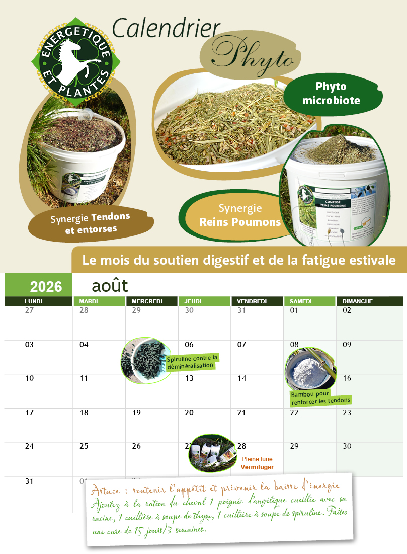 calendrier Août 2026
