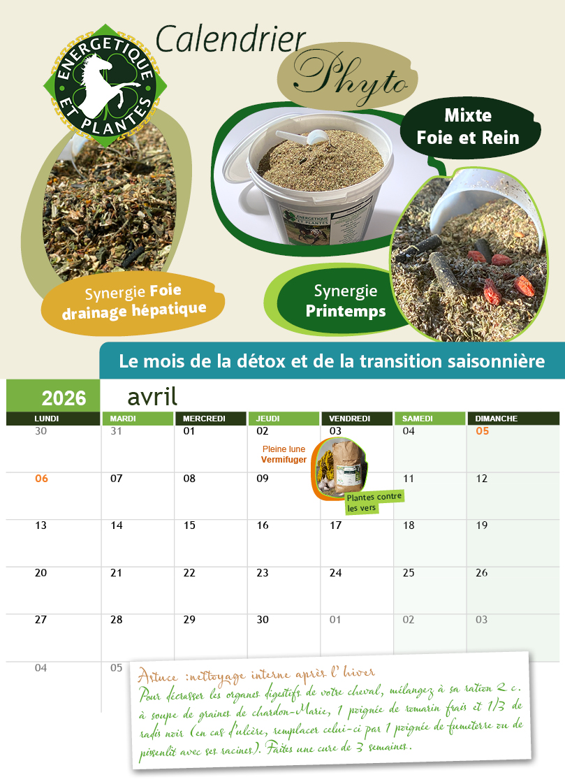 calendrier avril 2026