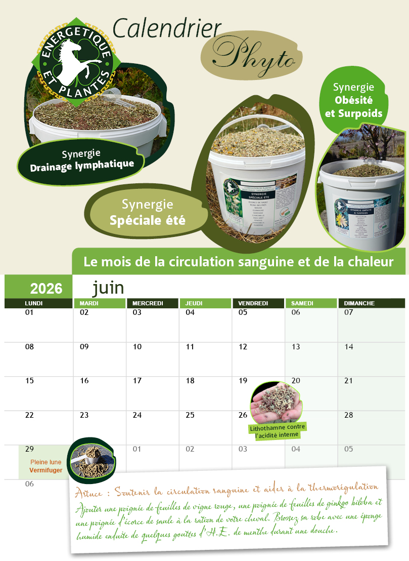 calendrier juin 2026