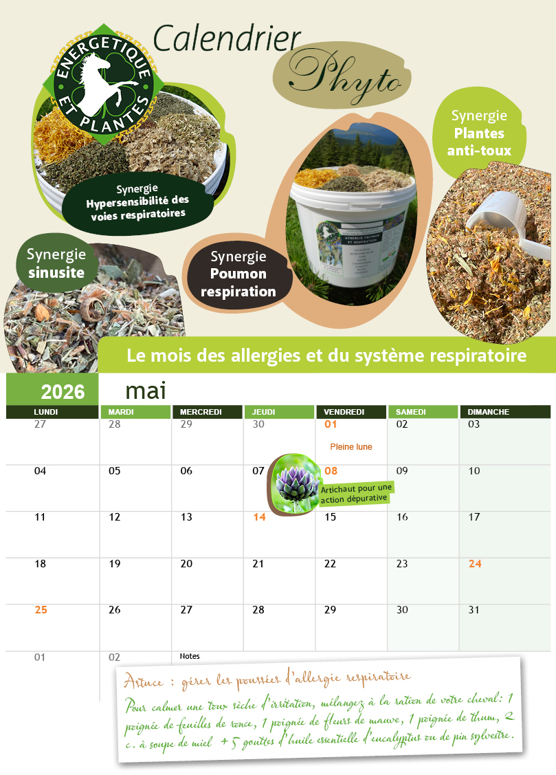 calendrier mai 2026