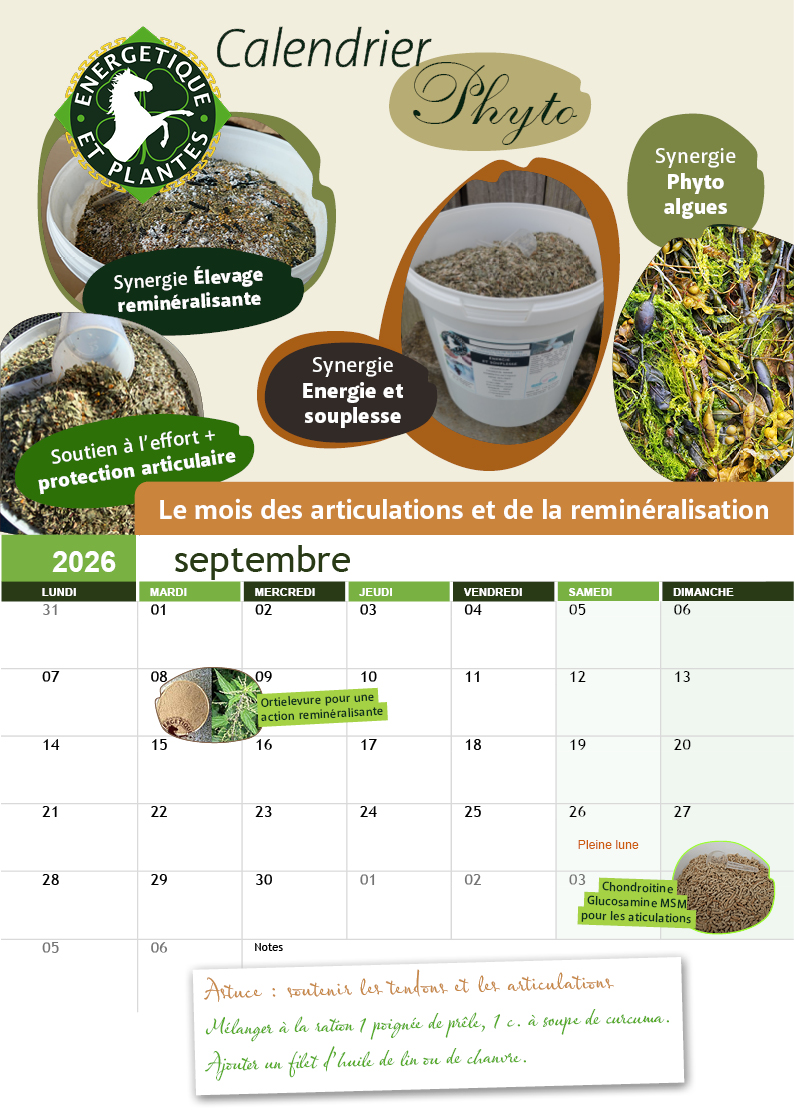calendrier Septembre 2026